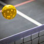 Pickleball about to hit a net
