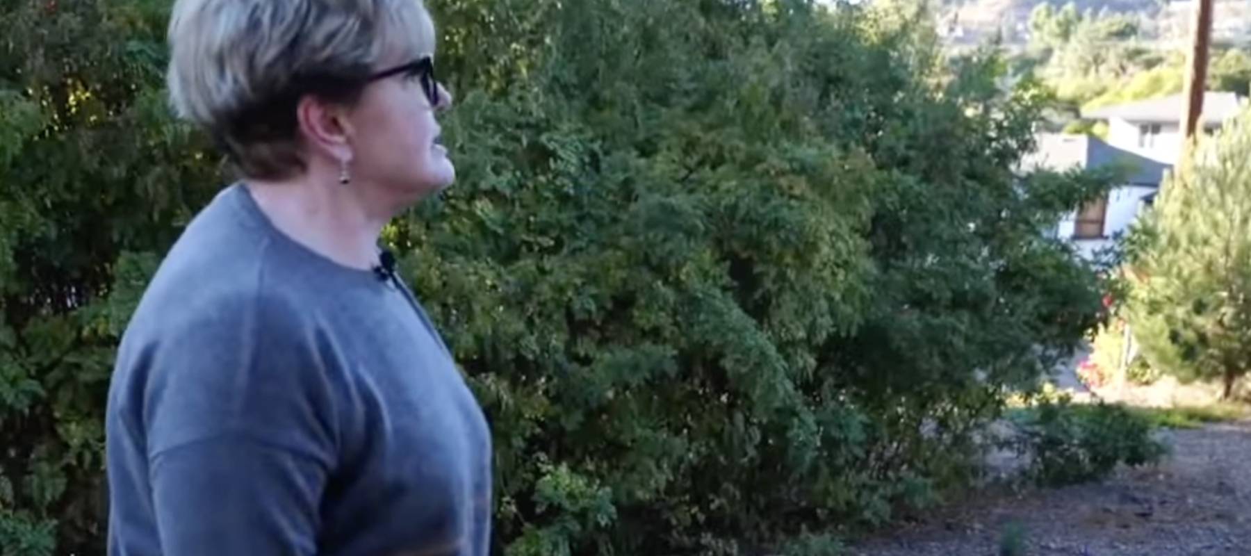 Victoria Krivogorsky looks at the site where her tiny home was supposed to be built.