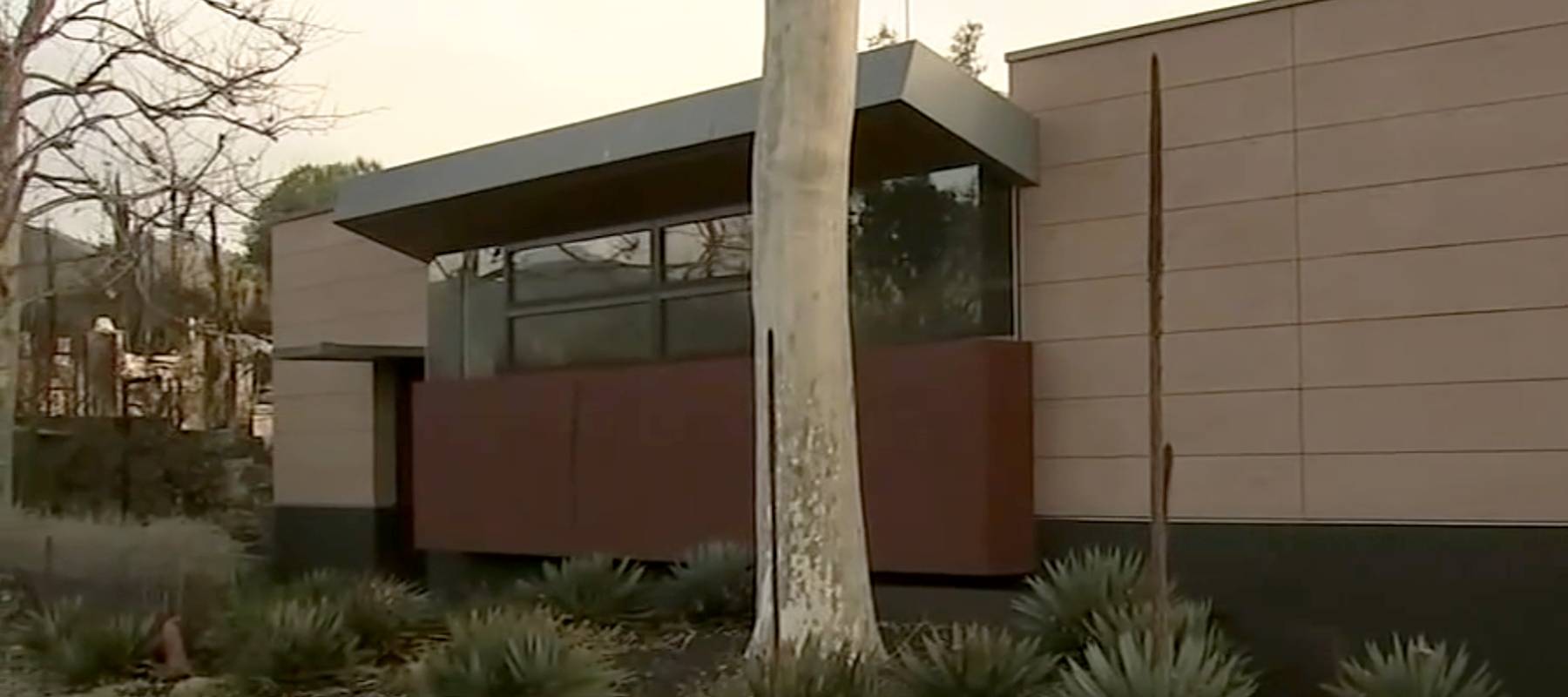 This house that survived the Palisades fire in Los Angeles was built with fire-resistant features.