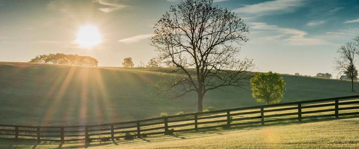 El sol brilla sobre el campo de Kentucky al amanecer