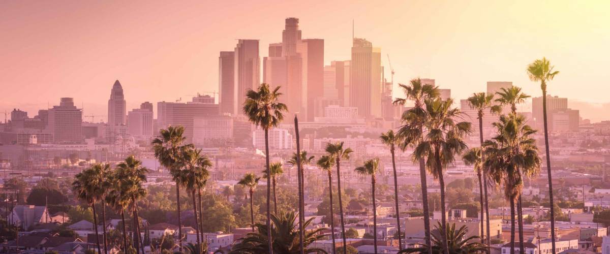 Hermosa puesta de sol del horizonte del centro de Los Ángeles y palmeras en primer plano