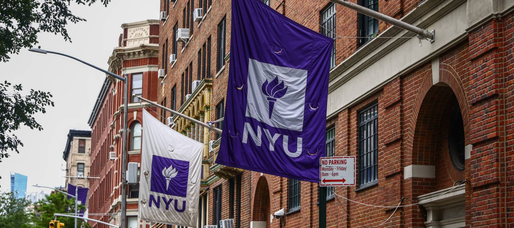 New York University