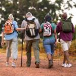 Four middle-aged people hiking.