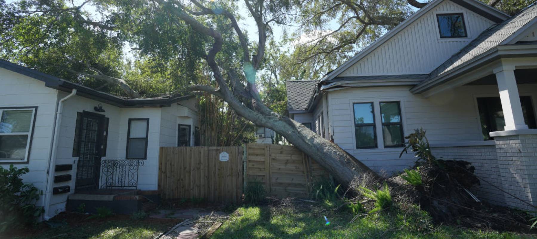 A tree falls on a St. Petersburg house due to Hurricane Milton.
