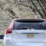 A Volvo SUV under a budding tree.