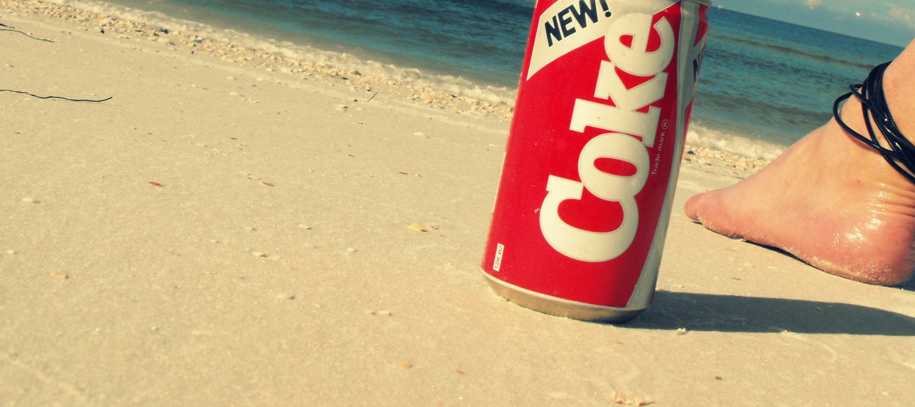 Striped Skunk (Mephitis mephitis) Sniffs in Grass - captive animal