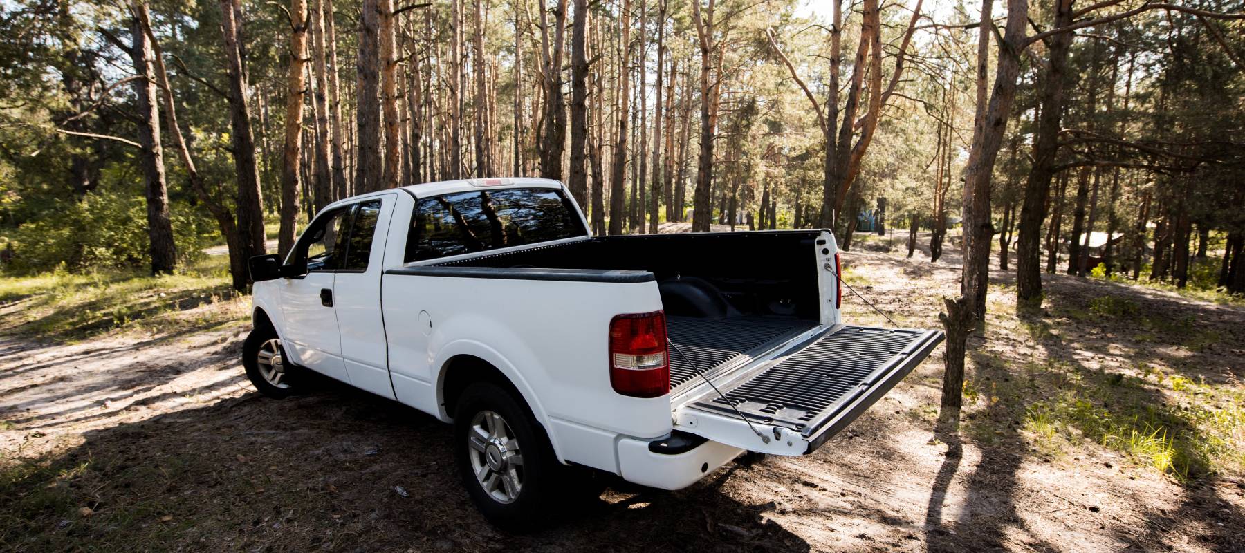 White pick-up truck in a forest