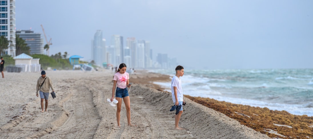 Young people walking on a sandy shore with tire tracks seaweed and distant city buildings in Miami Florida USA.