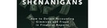 Financial Shenanigans book 
