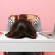 Young frustrated exhausted woman laid her head down on the table sit work at white desk with contemporary pc laptop