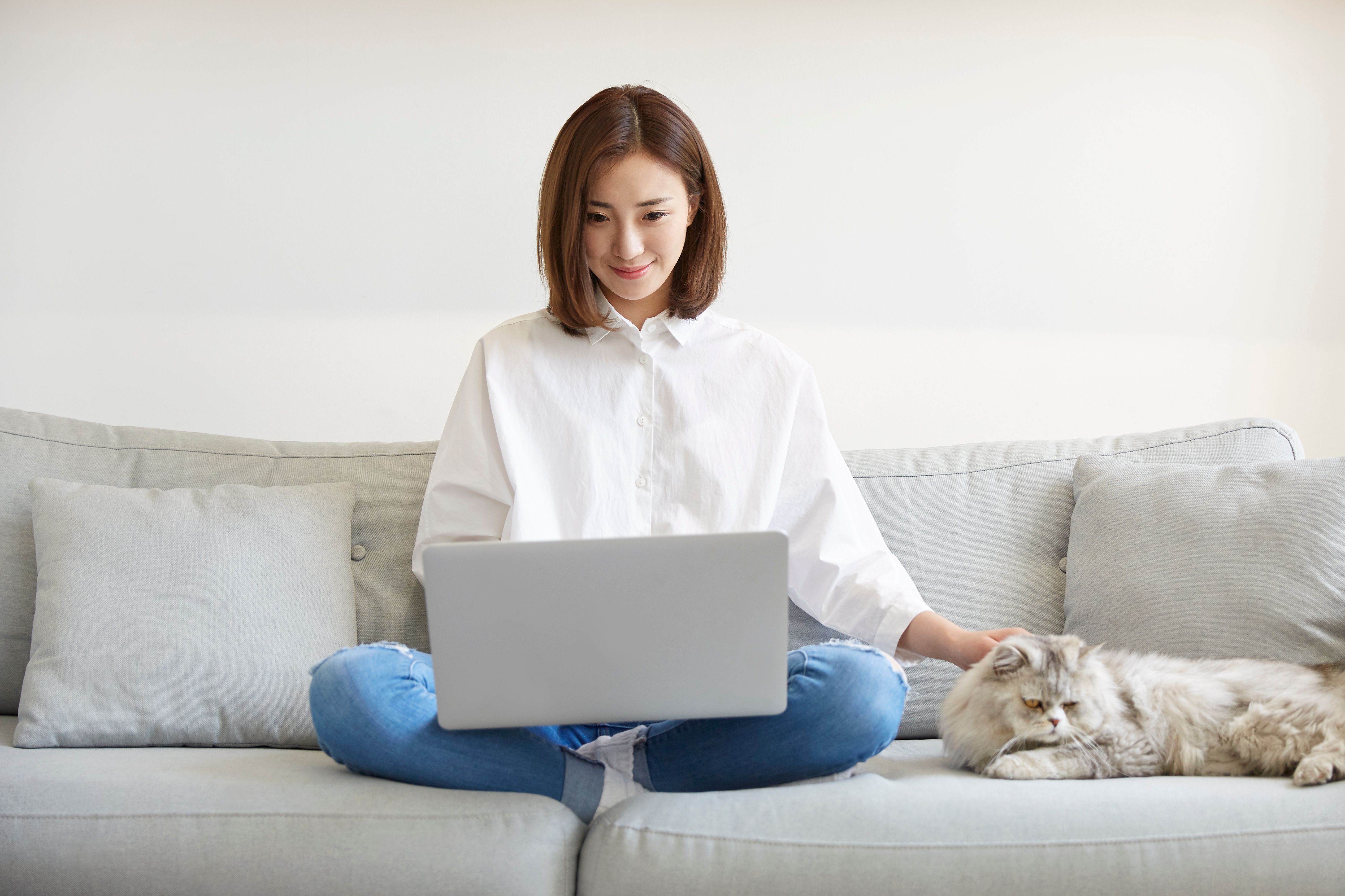 young asian businesswoman working at home using laptop computer while caressing pet cat