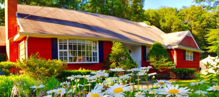Red house with daisies