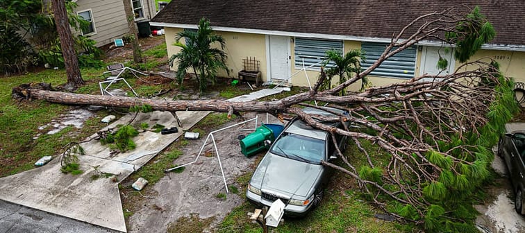 Tree falls across property.