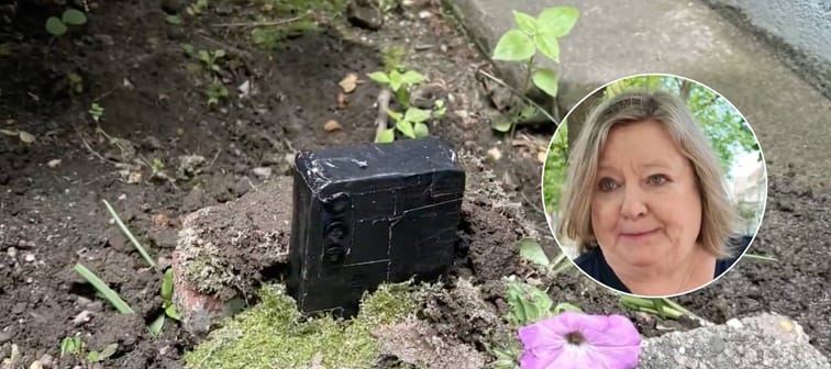 Someone planted more than flowers in Mary Kehoe's front yard.