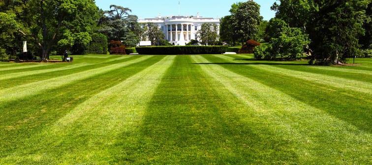The White House, the President of the United States