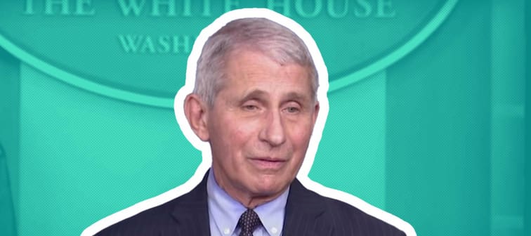 Dr. Anthony Fauci speaks to reporters in Washington DC.