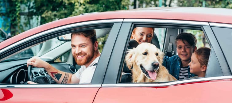beautiful young family travelling by car with dog