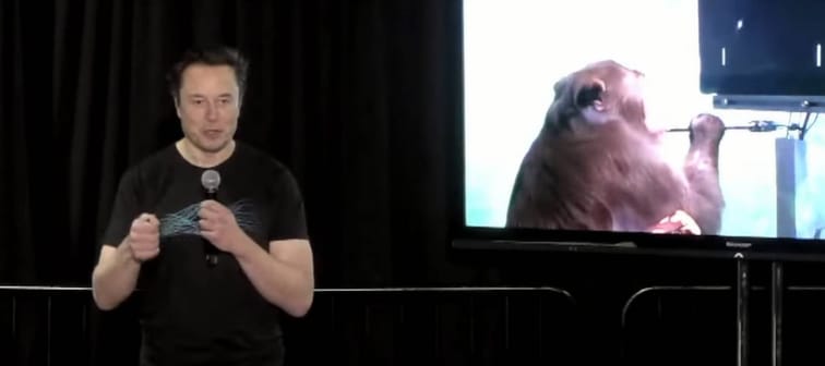 Elon Musk presenting at Neuralink event