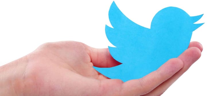 KIEV, UKRAINE - JULY 8, 2015: Hand holds twitter logotype bird printed on paper. Twitter is an online social networking service.