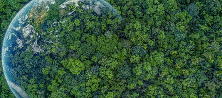 Earth surrounded by trees