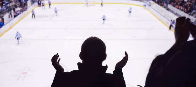 Hockey fan standing and applause on the stadium in after goal - sport, wallpaper..
