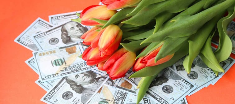 A beautiful bouquet of red tulips lies on scattered 100 dollar bills on a red background. Flower business. Selective focus. Increase in flower prices