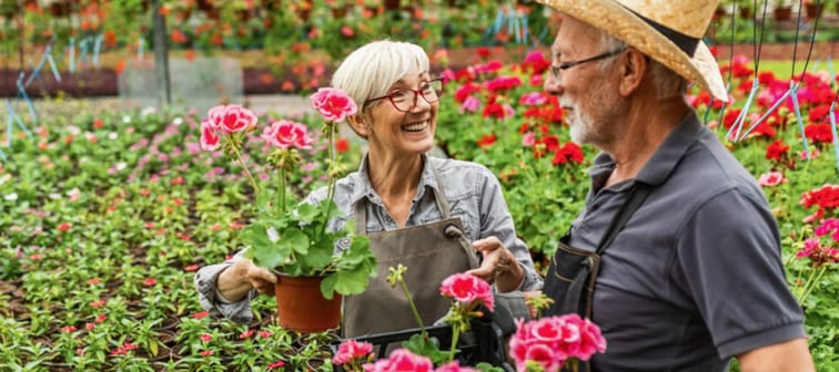 Happy senior couple cooperating while working with flowers in greenhouse.