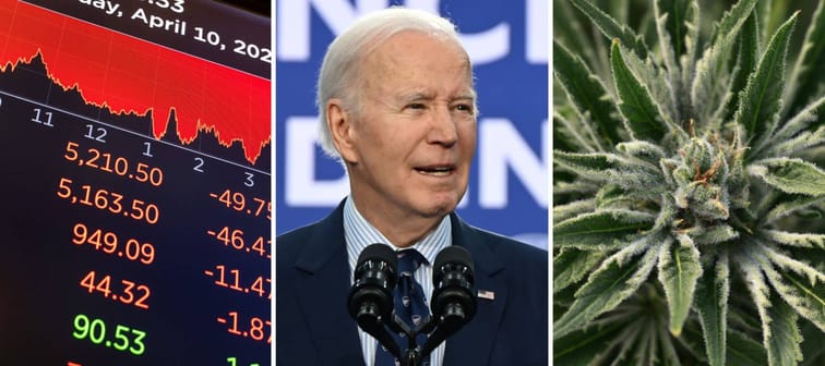 NYSE floor in April/President Joe Biden/Cannabis plant