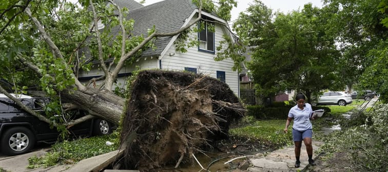 A postal worker walks near a car crushed by a tree.