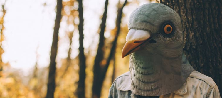 Weird man in a creepy rubber pigeon bird mask in the Autumn