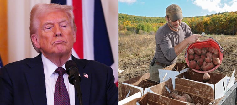 Donald Trump/American potato farmer