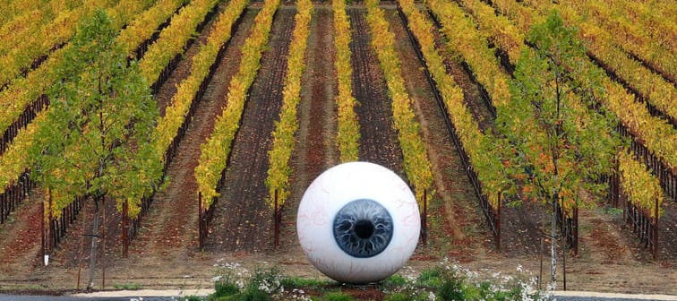 Vineyard in California Napa Valley with large eyeball sculpture seen in the foreground.