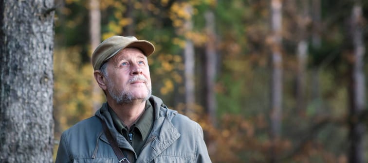 Forester man conducts monitoring in pine national park