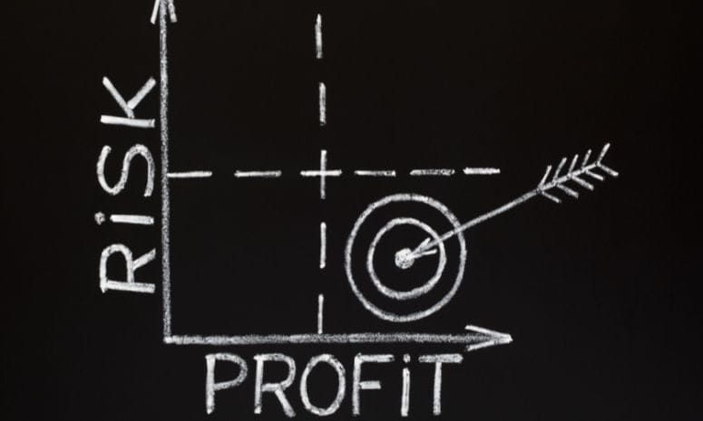 The relationship between risk and profit