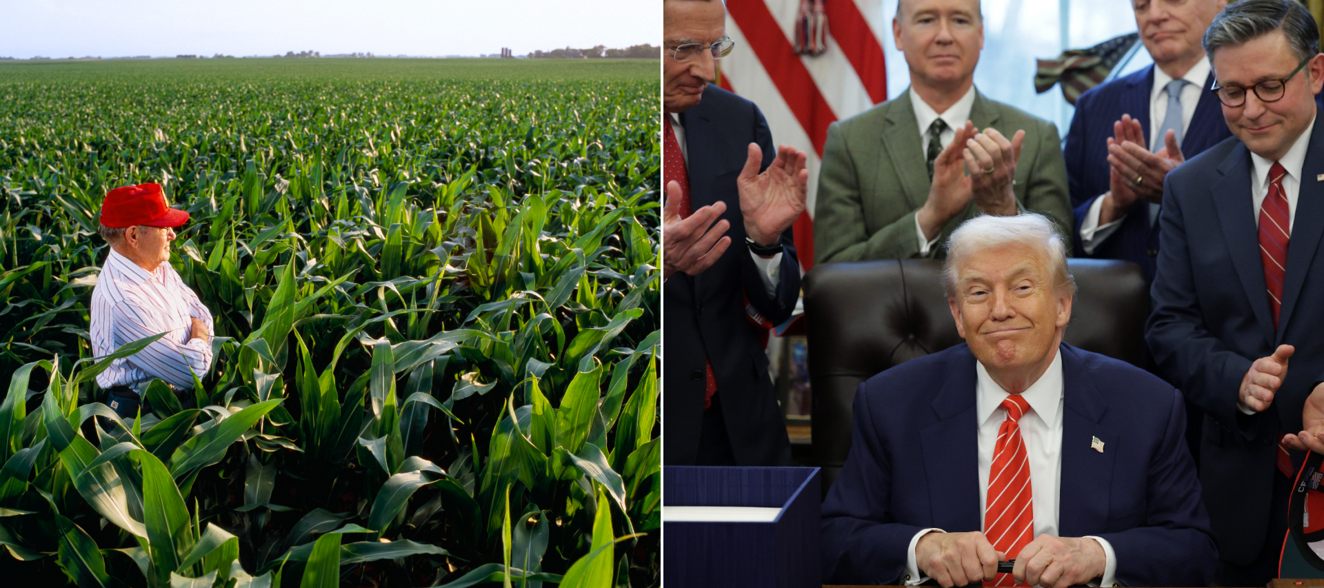 A farmer stands in his corn field; President Trump showered with applause in the oval office.