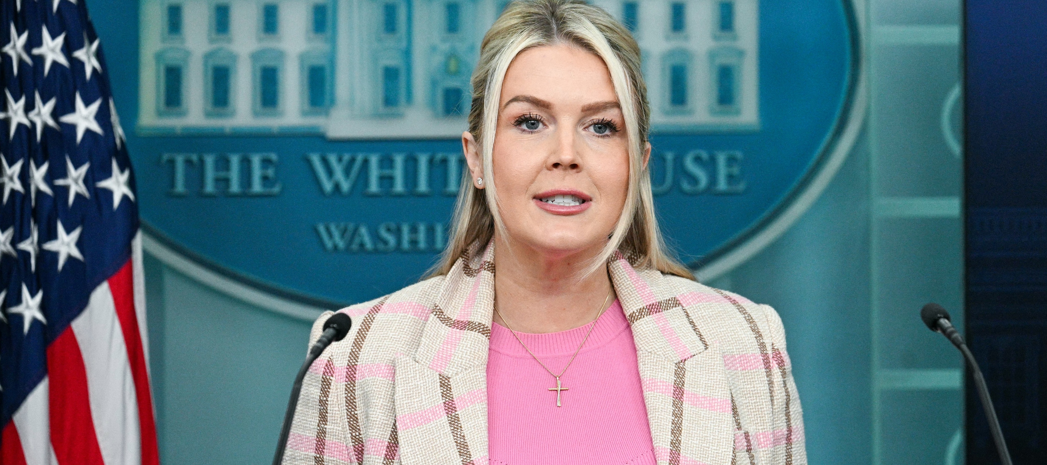 White House Press Secretary Karoline Leavitt speaks during a press briefing.