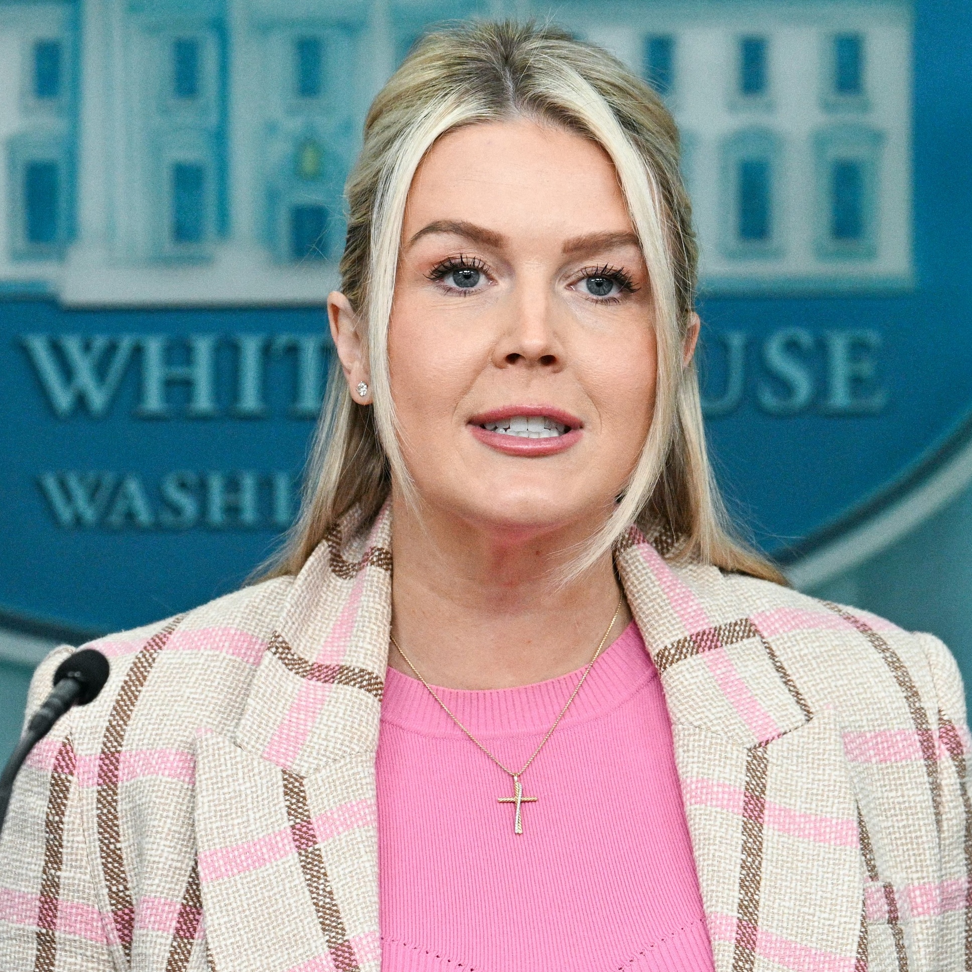White House Press Secretary Karoline Leavitt speaks during a press briefing.