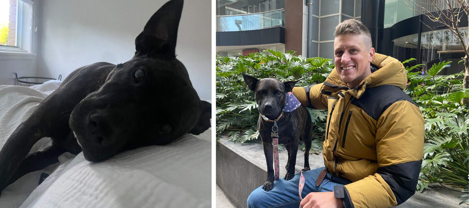 Paul Conygnham and his dog Rosie.