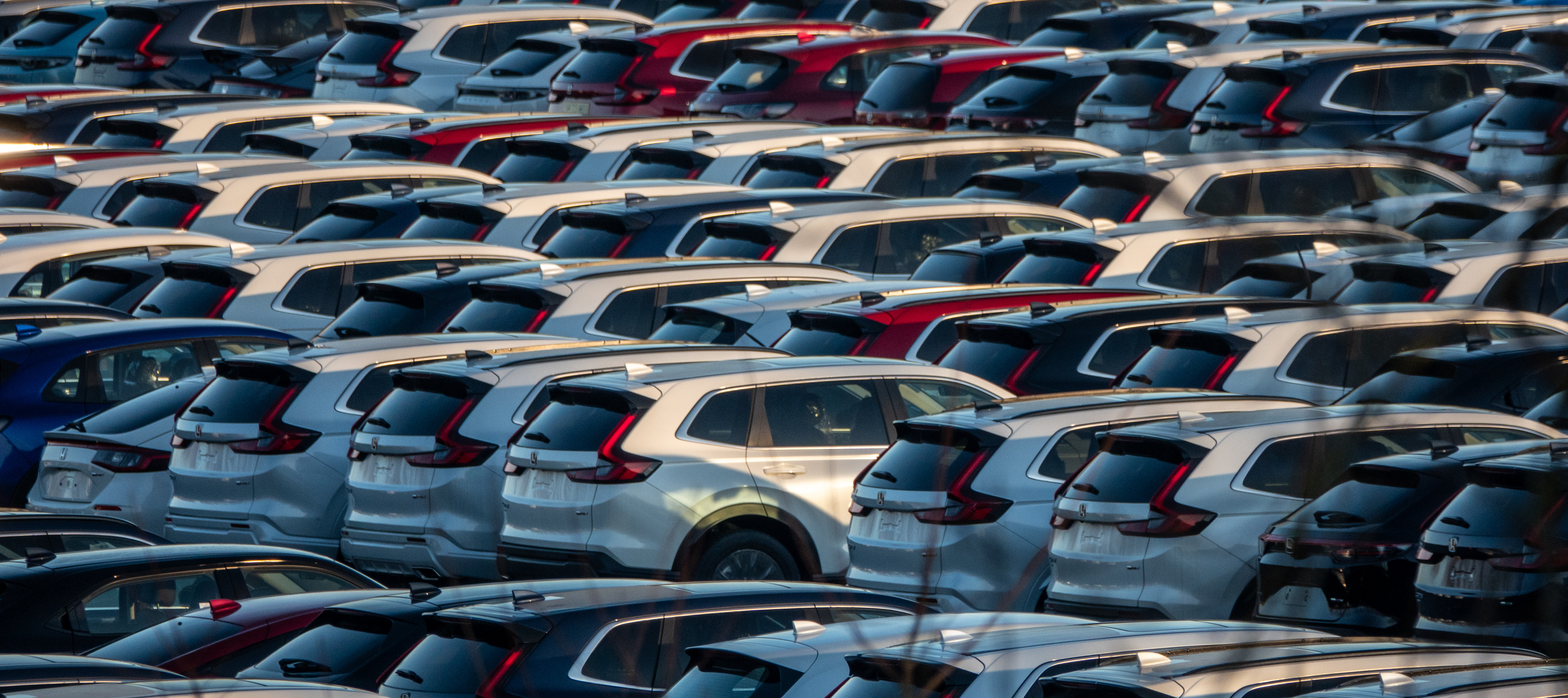 Dozens and dozens of cars lined up back to back in a large lot.