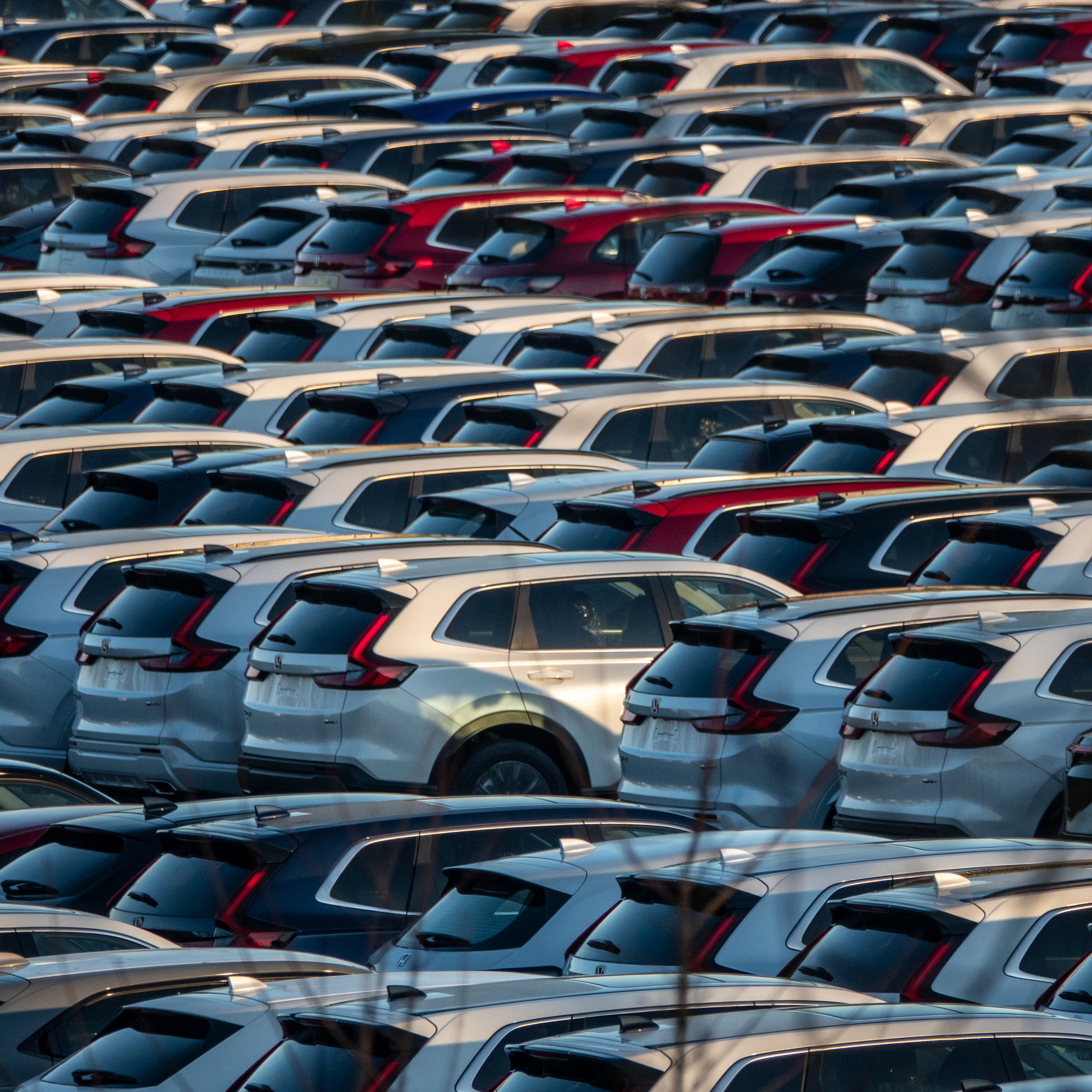 Dozens and dozens of cars lined up back to back in a large lot.