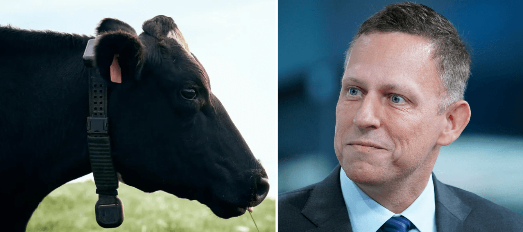 Peter Thiel-backed Founders Fund leads the funding round for the agtech startup.
