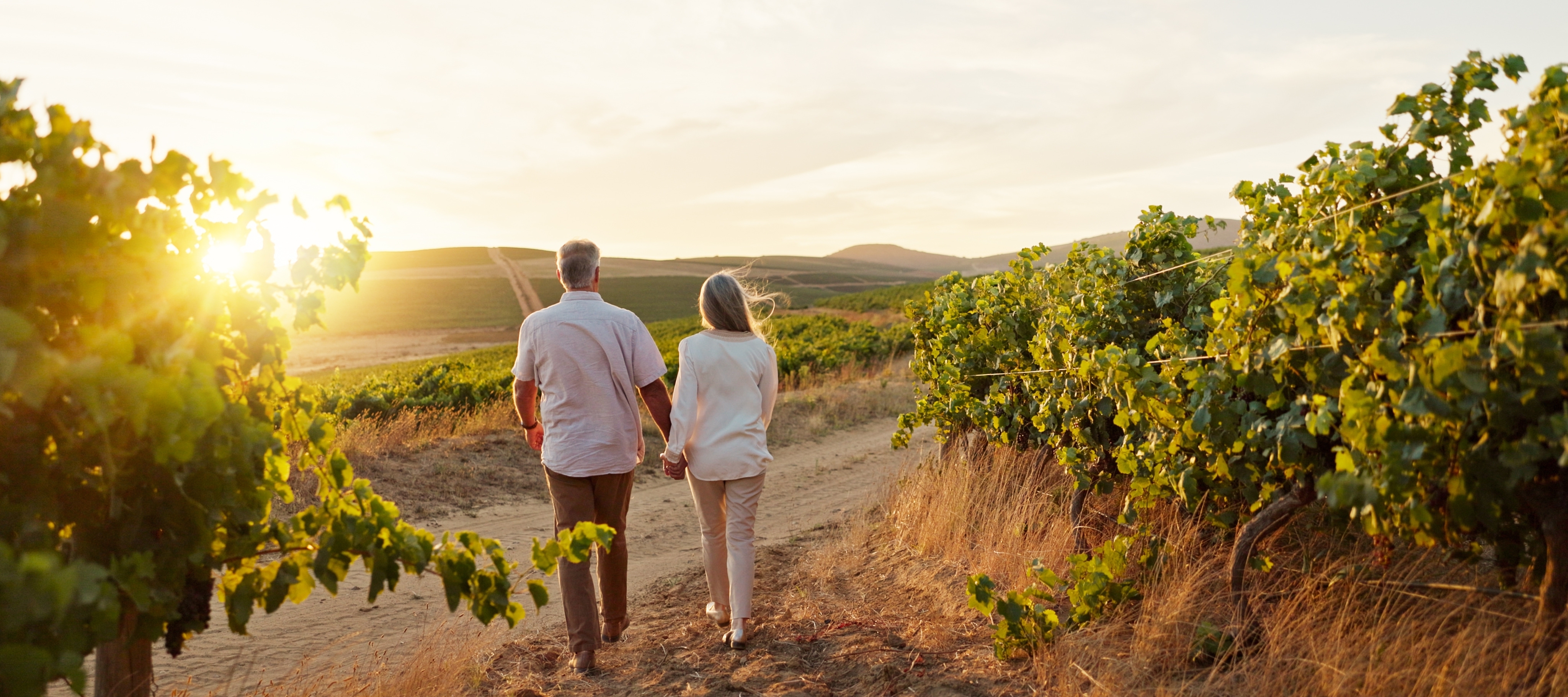 Retired couple holding hands and walking in a vineyard.