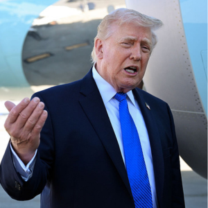 Elon Musk offered to pay $250M to TSA workers. The White House said no, so Trump has decided to intervene.