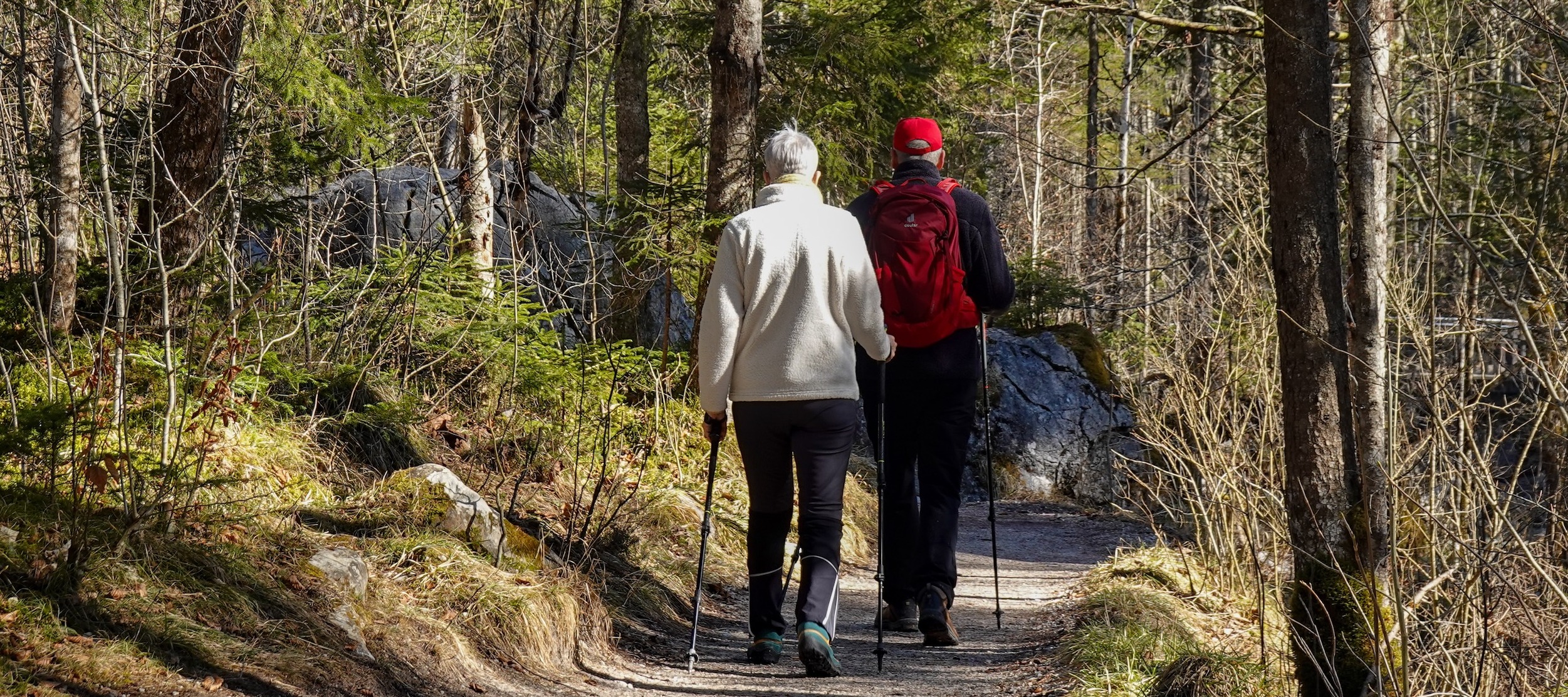 A retired couple takes a walk through the forest during the spring.