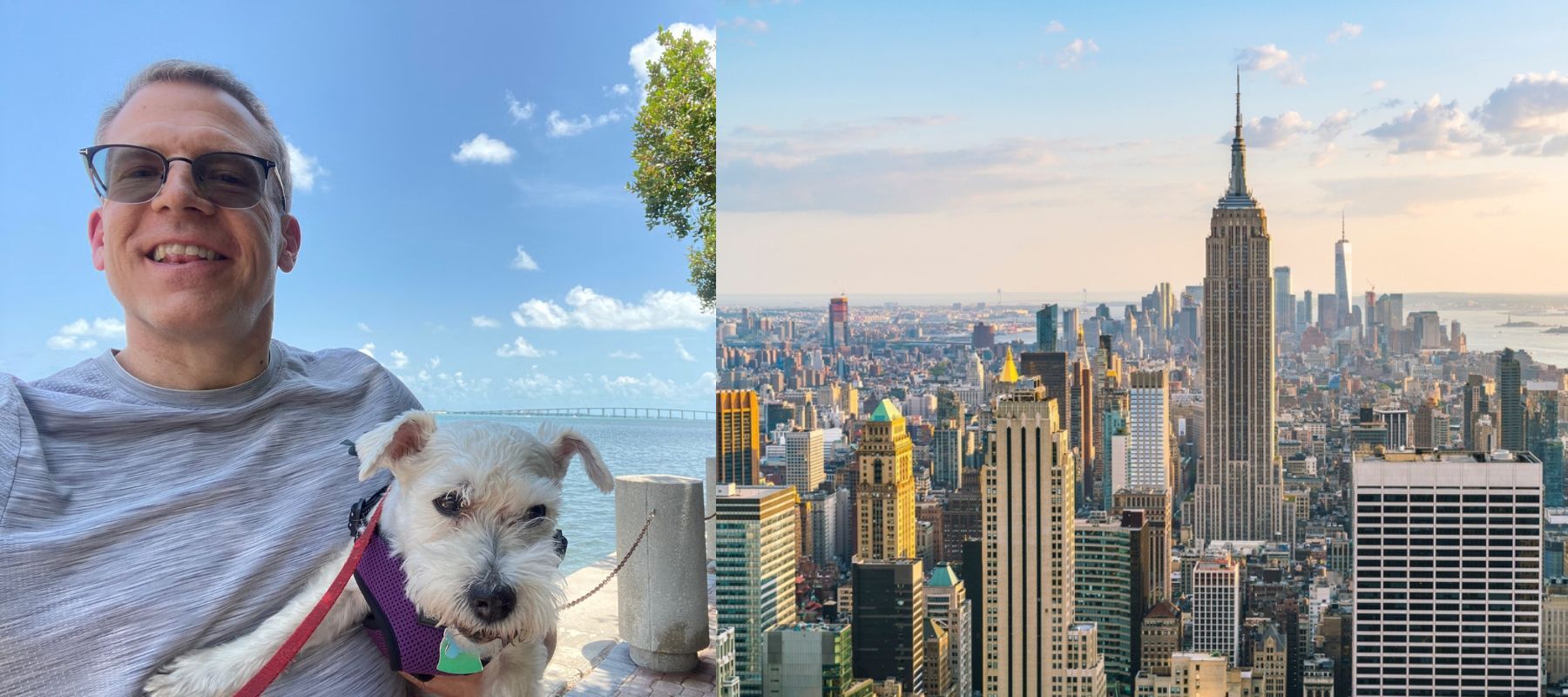 Image of man with dog next to image of New York City skyline