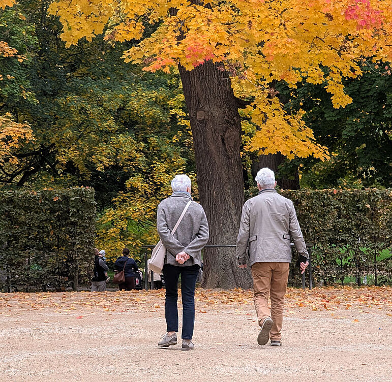 A senior couple walks through a park surrounded by autumn foliage.