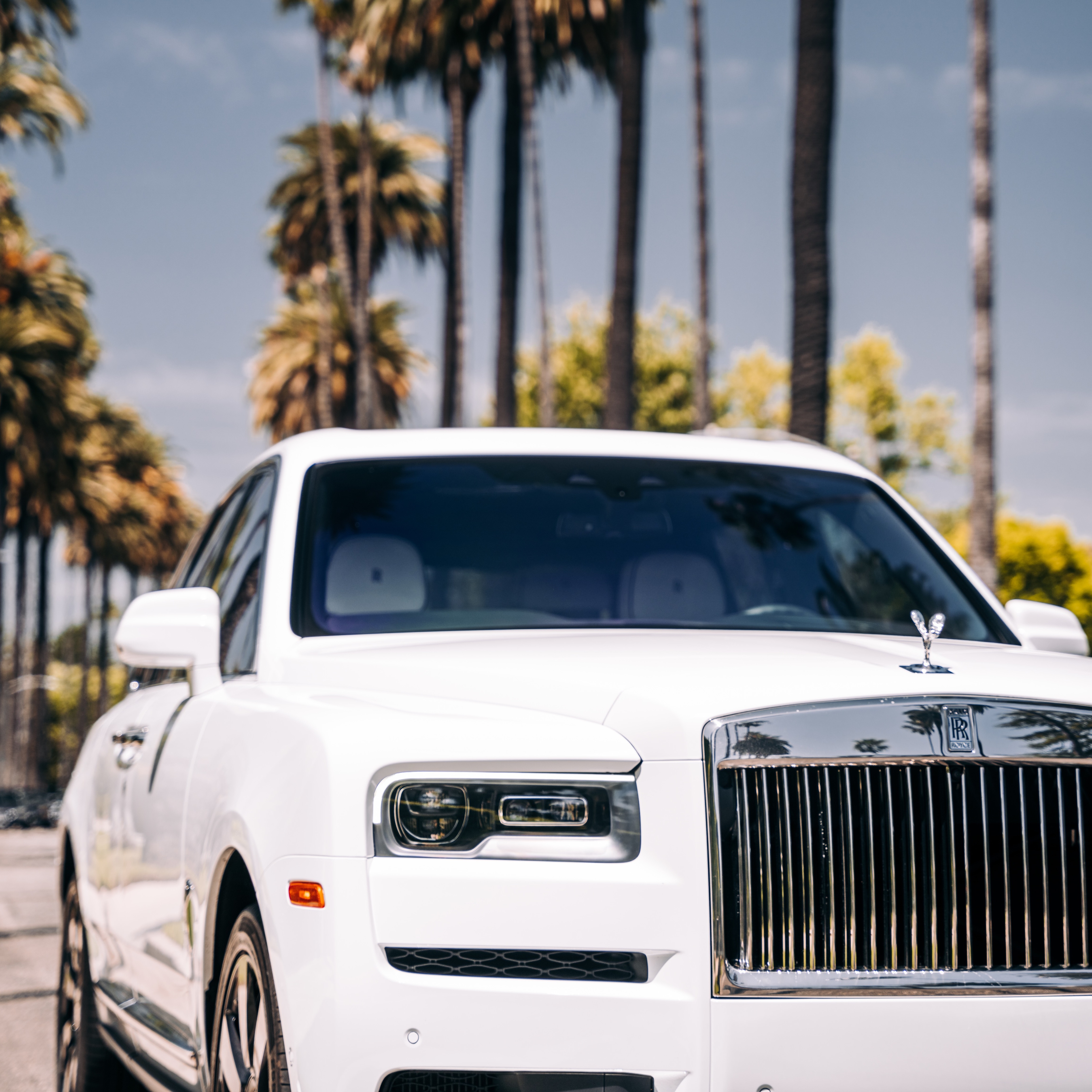 A Florida car dealer has been sentenced to prison for wire fraud and attempting to ship stolen cars overseas.