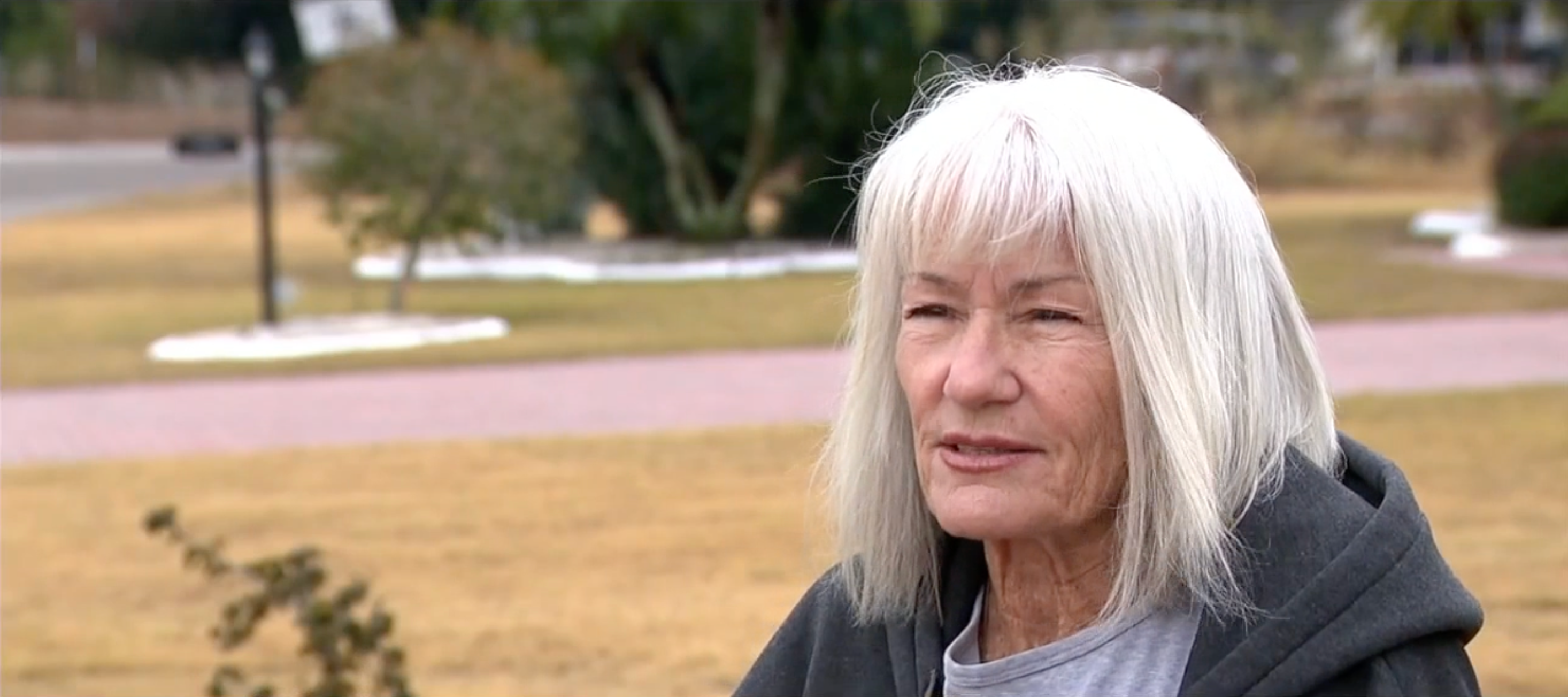 Trees cut down without consent