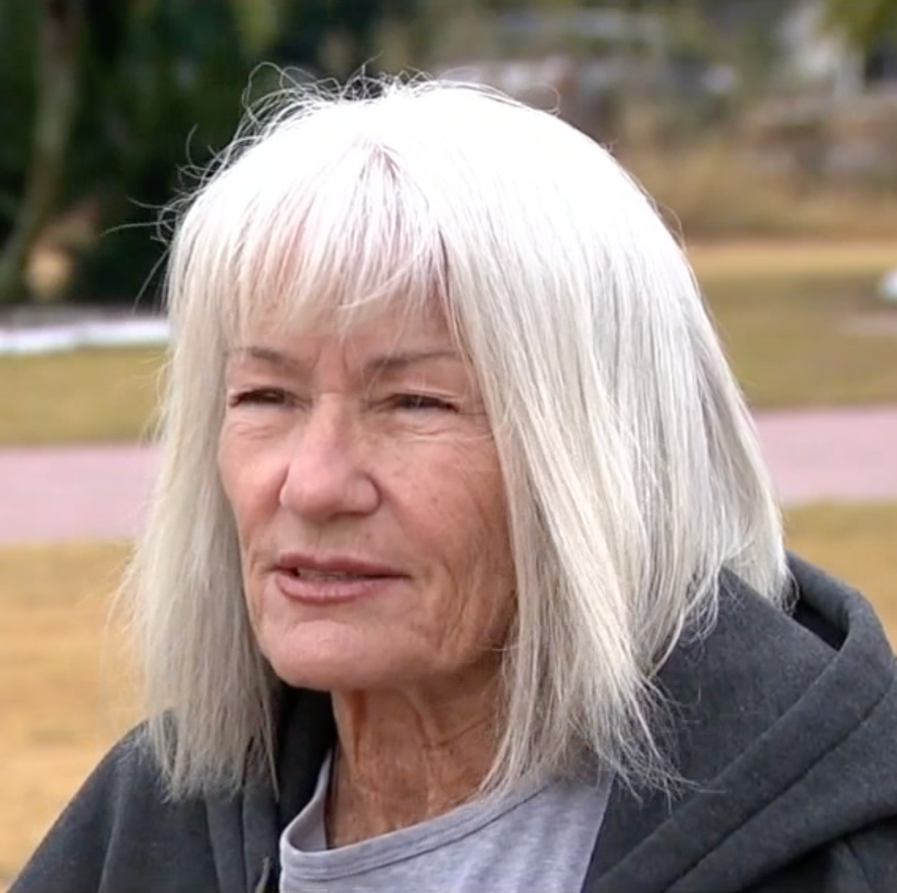 Trees cut down without consent