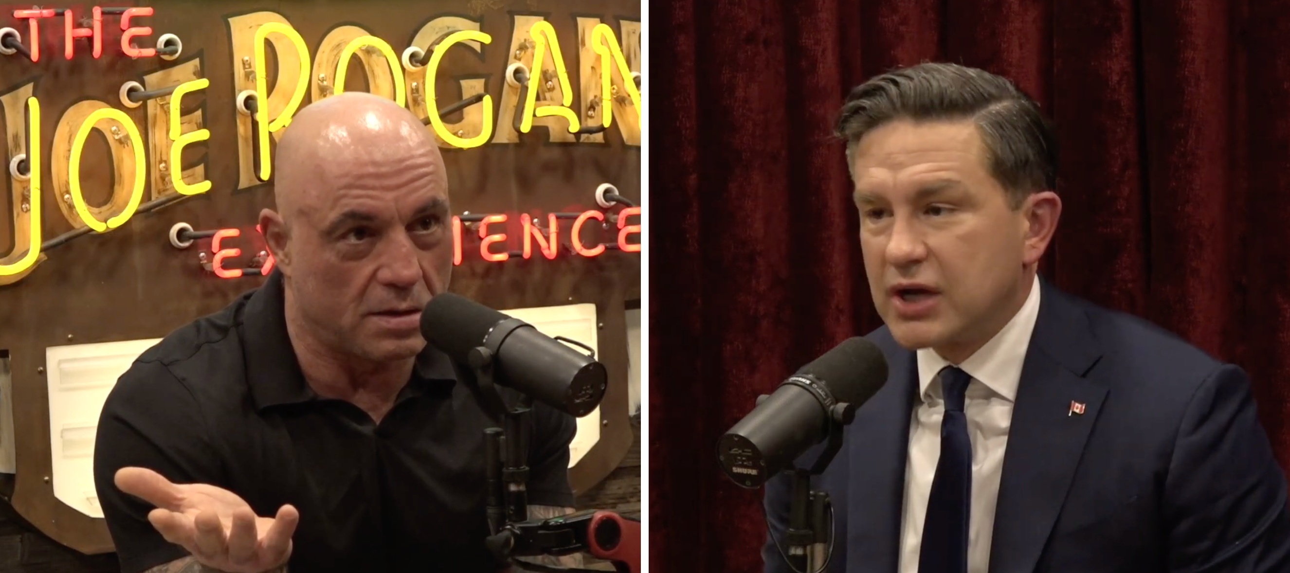 Canadian politician Pierre Poilievre speaking on the Joe Rogan Experience podcast.